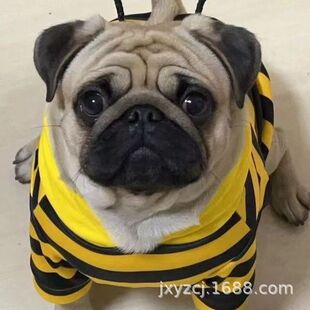 ���N�͸猙����Ȯ���w�������͹�С��Ȯ���pȮ�豭����ͥ��HȮ