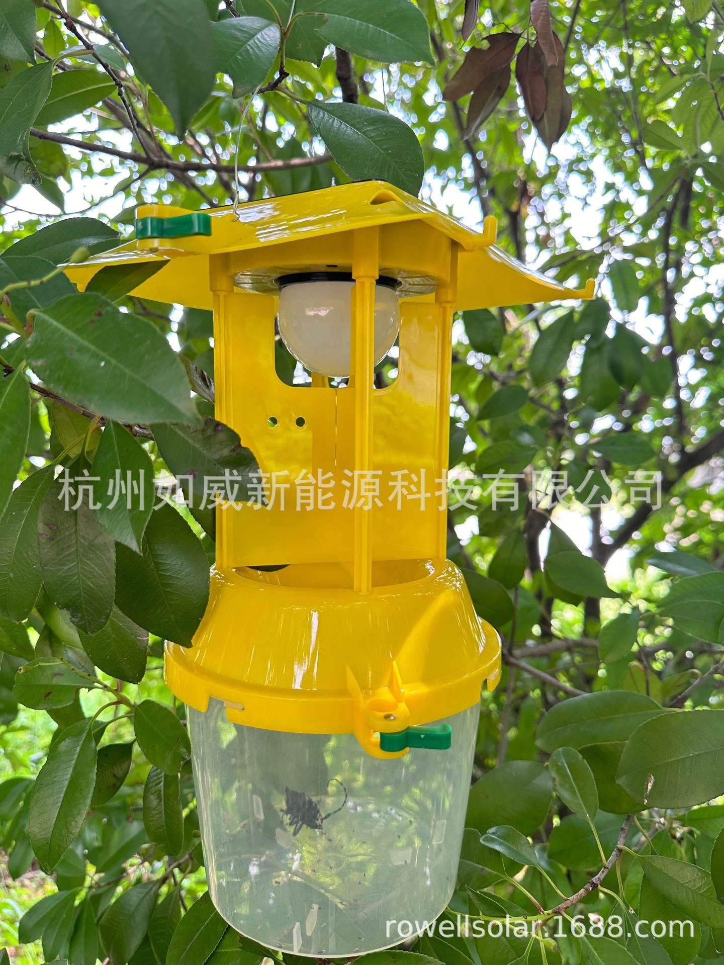 微信图片_20240813165010