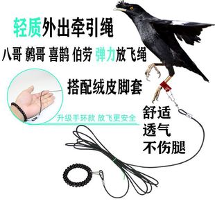 �B���p����w�K���B�˸�������i���f����������B�K�����_�qƤ��