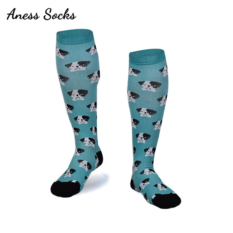 파란색 배경에 강아지