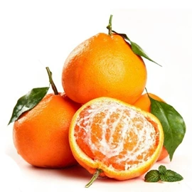 其他水果;块茎类;苹果