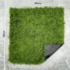 Light color immortal ground moss sheet 0.5*0.5 meters