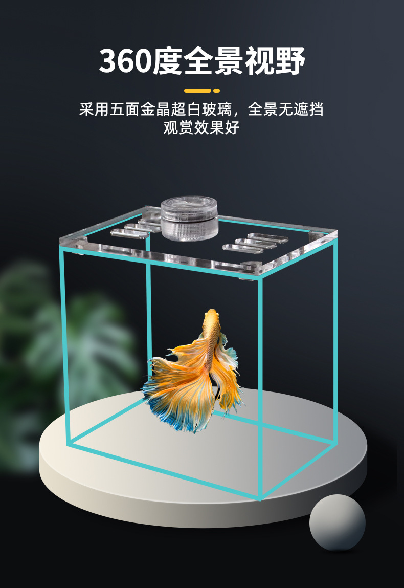 斗鱼缸_04