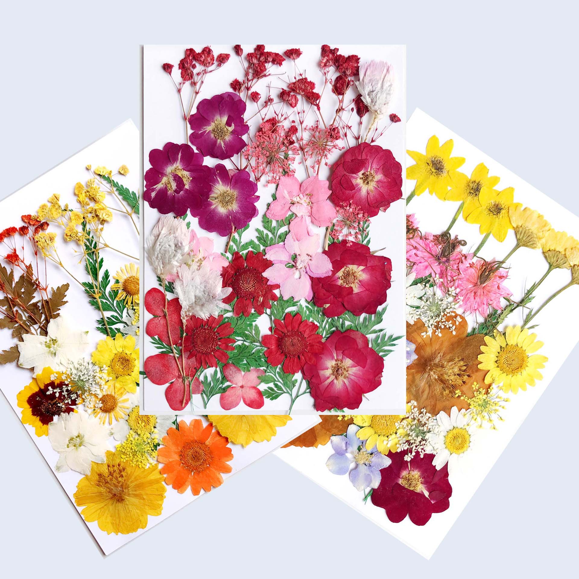 新款混裝隨機壓花diy混合幹花材料包押花壓花真花植物標本妝容