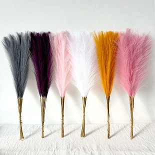 ���柟���JȔ��֧ins�L������Ȕ����˹�ݹ�β�ݙ���չʾ�ҾӔ[��