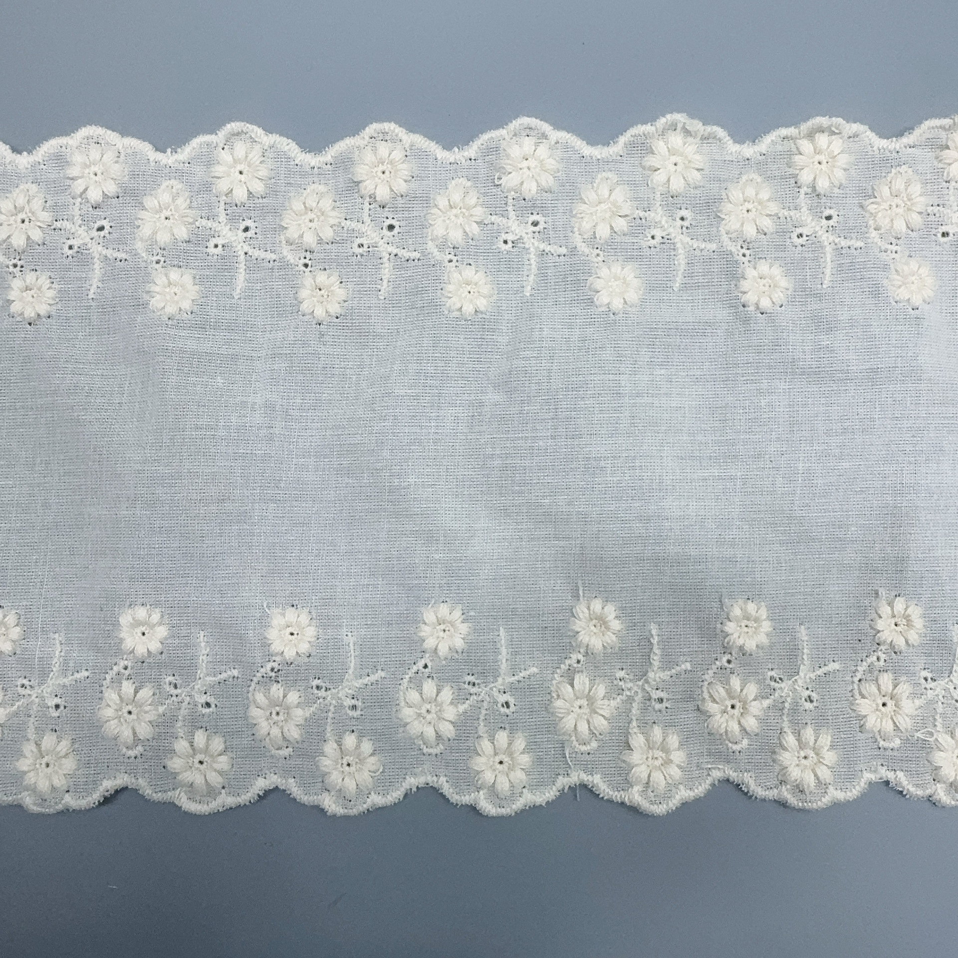 微信图片_20250307072916