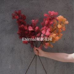 毛茸果霧氷粉黛子太った松の小さな霧香草花蓬莱松雪松水草シミュレーション花緑植道具