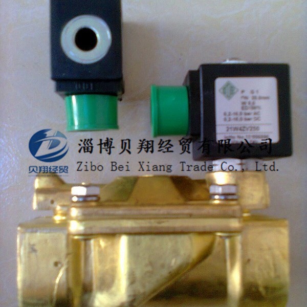 �����ODE��λ��ͨ��ŷ���21W4ZB250 AC220V DN25