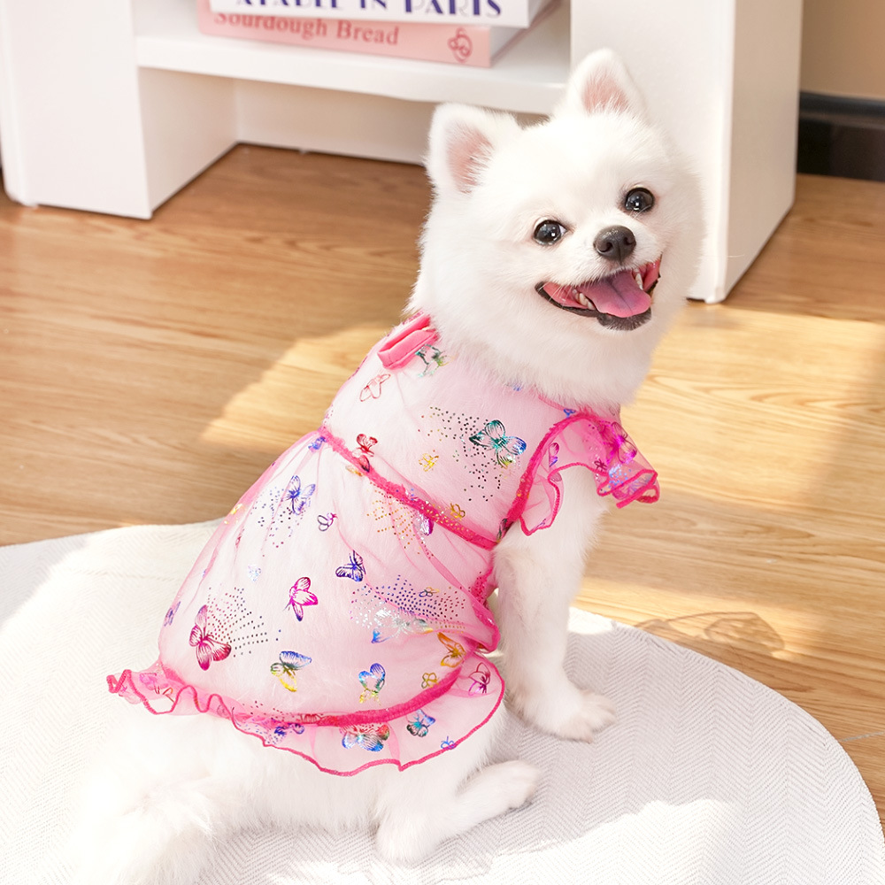 Los gatos domésticos pueden salir con amor, vestidos de verano, suministros para perros, ropa para perros Corgi, ropa para perros