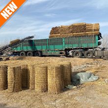 稻草 稻草帘子 草苫子 大棚草毡 保温草帘 工程养护草帘 草帘