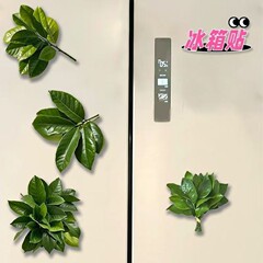 柚子树叶去晦气冰箱贴转运幸运亚克力小众礼物冰箱装饰品田园风