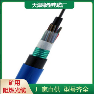 Factory Direct Sales MGXTSV-24B Mining Flame Retardant Communication Optical CaBle MGTS33 24 Core FiBer Optic