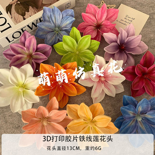 3d��ӡ�zƬ�F��ɏ���^���滨�ٻ��������l�ֹ�diy�����������b�