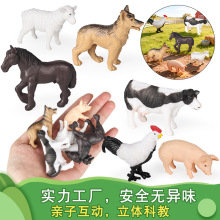 ����ʵ�Ķ�ͯ��֪����ģ����߿���������ţ��������ĸ��������װ