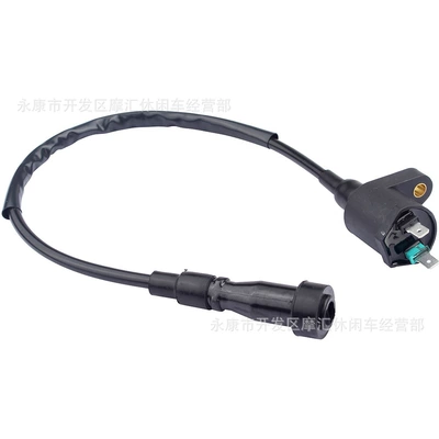 Alovlanma bobini (Babinalar) for Chunfeng Cn250 Ch250