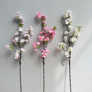 ���滨�U���һ� ���� �ѻ� �p�ݸ߶˻�Y�����滨��֦Ʒ�| �ѻ���