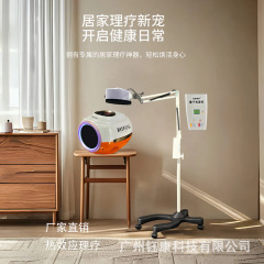 工場直販の新粒子技術コアエッグ共鳴健康器具テラヘルツ細胞修復器具健康熱療法器具
