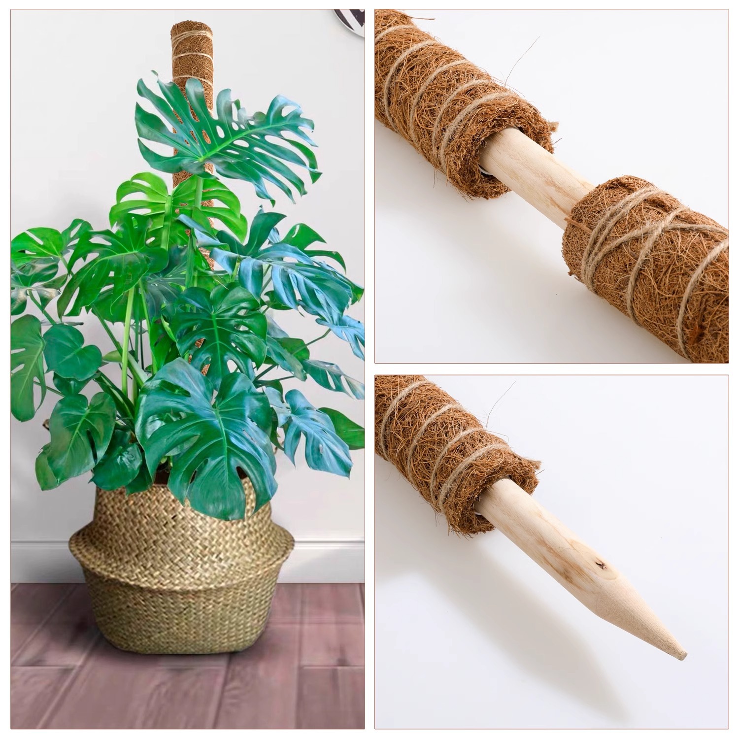 palo de palma de coco tortuga espalda bambú palo de soporte columna de escalada de caña de rojo verde palo de palma planta de escalada marco de soporte columna de soporte bonsai