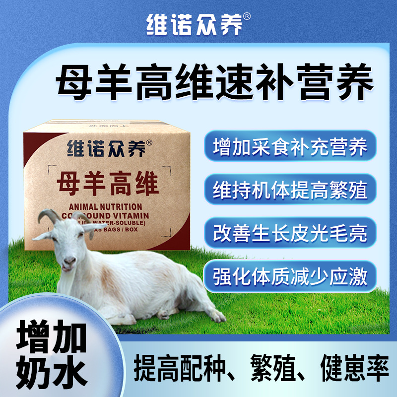 母羊高维羊维生素预混料补营养改善机体提高泌乳量多维饲料添加剂