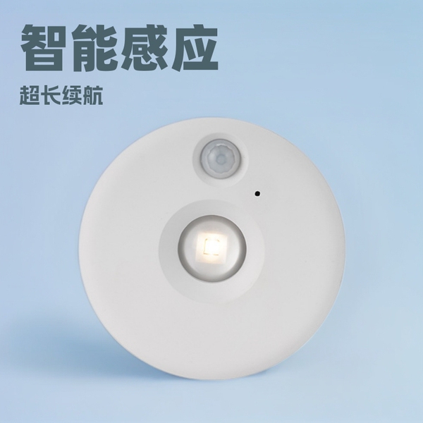 Rechargeable induction night light