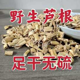 材芦根野生芦根干芦根芦苇根芦根茶泡茶泡水包邮