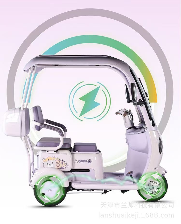 New National Standard Electric Tricycle with Canopy