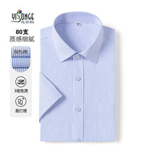 ��ѡ80֧CVC��ʿ��������ϰ��������ְҵ��װ������ɫ���Ƴ���