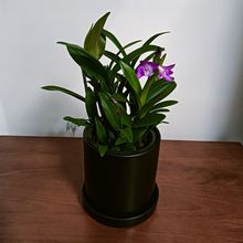 ������������ˮʯ���m�����˺��B��ˮ��߶˻��ܾGֲ����