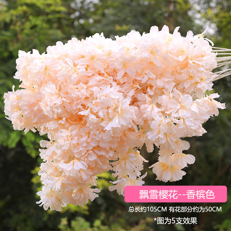 Snow cherry blossom champagne