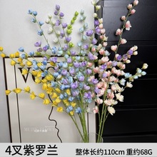 4�����_�m���滨��c��Y�����߾��l����·���廨�����bٻ�