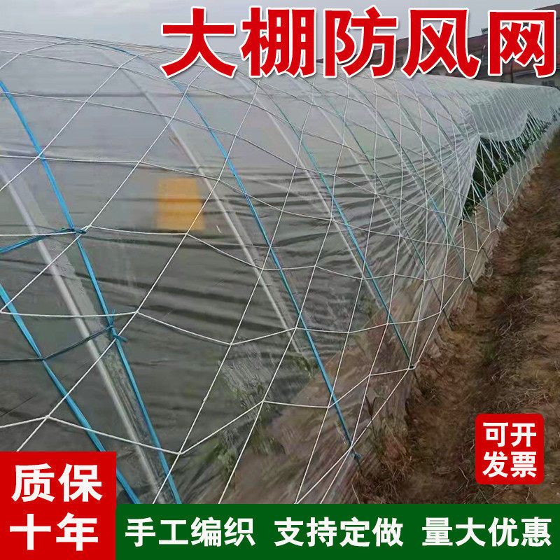 大棚防风网防护网塑料大棚专用大孔压膜网绳尼龙防风网盖草封垛网