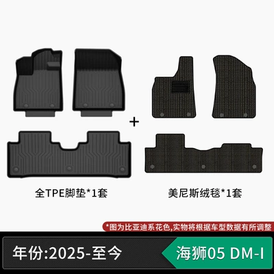 Modelə uyğun ayaqaltı custom-made car mats, automotive-grade - 25-models-of-byd-sea-lion-05-dm-i-tpe-floor-mats-menis-velvet-carpet