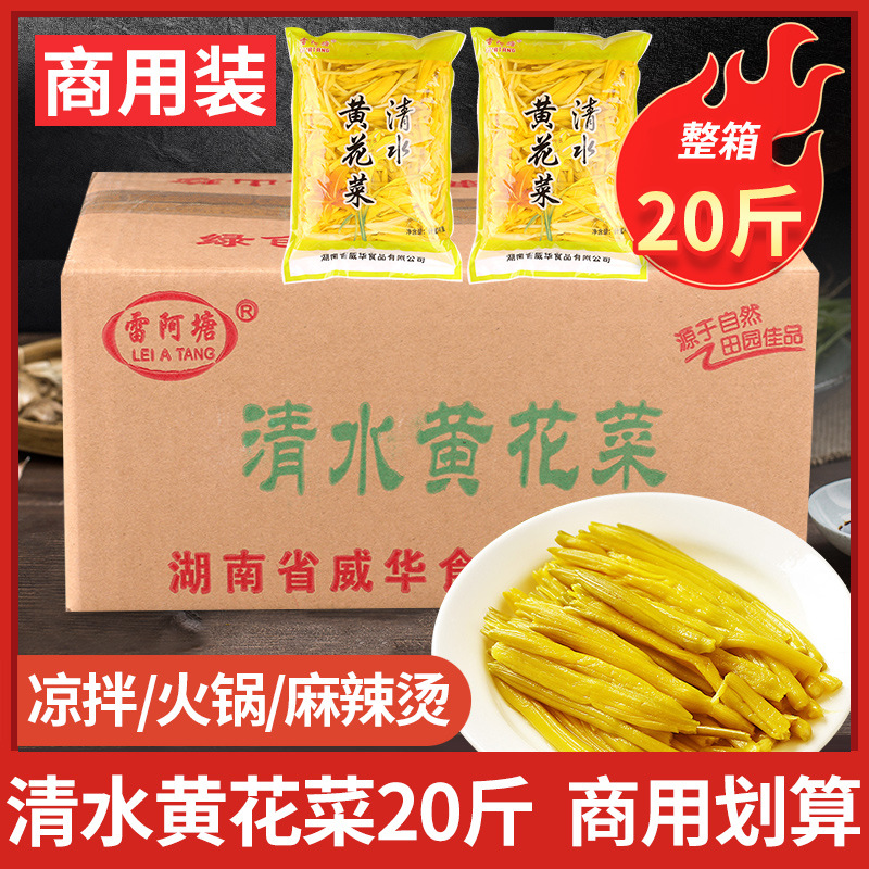 清水黄花菜商用整箱 凉拌菜金针菜 火锅麻辣烫新鲜食材配菜非干货