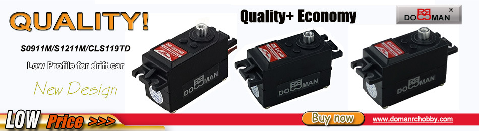 flashPservo-04A.jpg