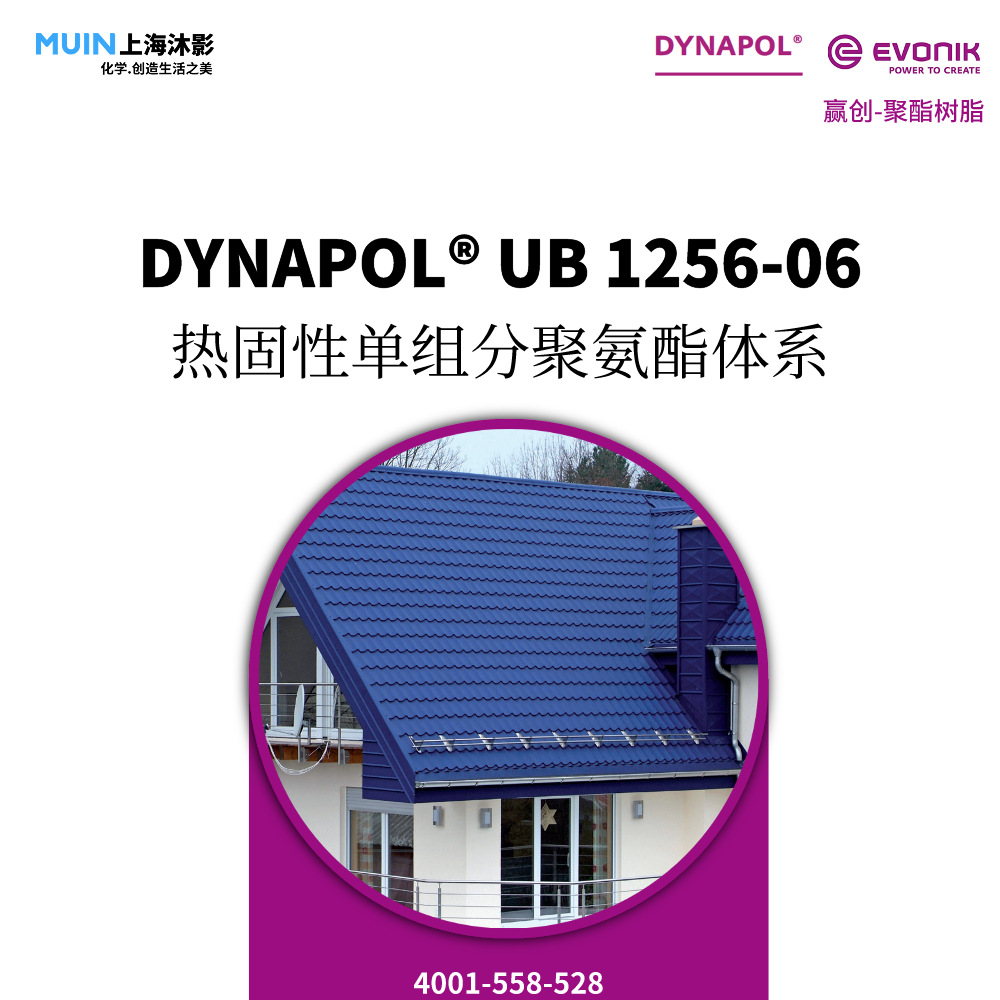 DYNAPOL UB 1256-06 聚酯树脂 |赢创 热固性单组分聚氨酯体系