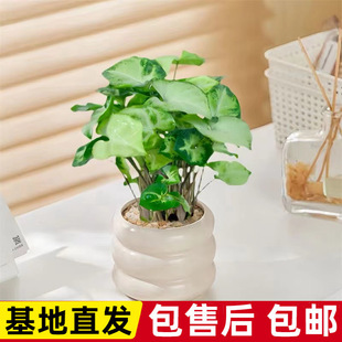 �G���`�Ϲ�������k���҃ȿ͏d����Gֲ�������Է�ݗ������՚�