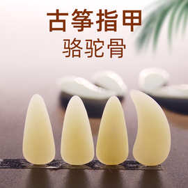 古筝指甲凹槽款骆驼骨初学者乐器配件初学成人考级专业古筝配件