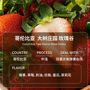 ���ׯ�@õ��ȿ��ȶ��p�؅�������ˮϴ�М\�決���ȵ꾫Ʒ���ȶ�