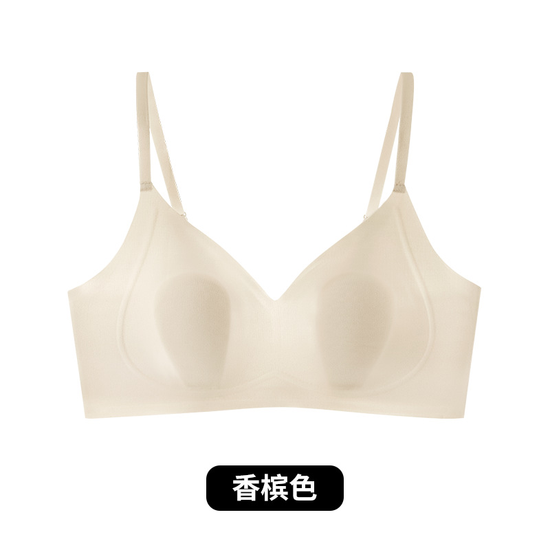 샴페인