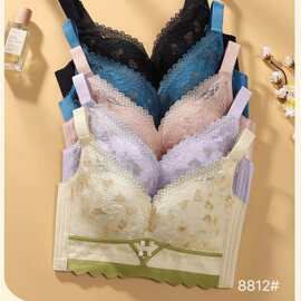 乳棉8812#精致撞色蕾丝文胸34-40Ｑ弹棉养护中薄B杯聚拢内衣尾货