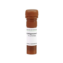 BioFroxx 2275MG100 胶原酶II型Collagenase II 2-8度