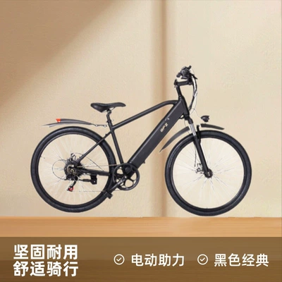 Elektrikli motosikletlər Battery Electric Bicycle Long