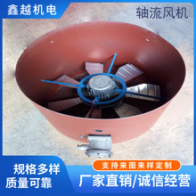 �S�ҹ��� ׃�l�L�C ��s�L�� �S���L�C   �L�C ���󃞻�