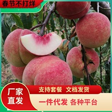 һ�����lѪ�Ҙ�������Լ޽��ش����춬�Ҙ����ϱ����N����ˮ����