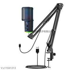 国境を越えた新製品ゲームマイクUSBマイクRGBライブコンデンサ麦歌録音パソコン携帯電話共通