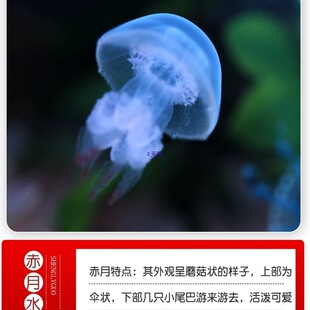 ˮĸ�����m�ϼ��B�W����ͯ���BС�����������˳��°l��װ���