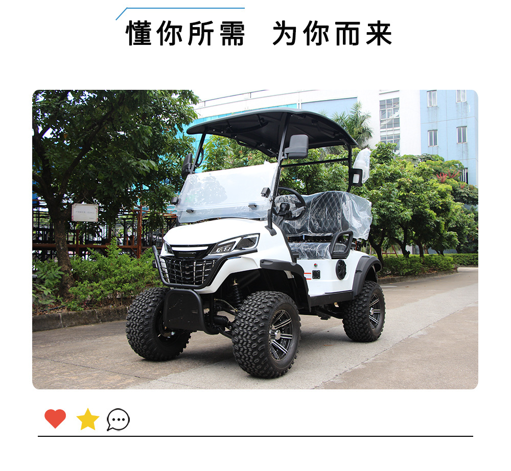 2-Seater Golf Cart, Cross-Border Sightseeing Vehicle, Tourist Attraction Hotel Shuttle Bus, Golf Course Ball-Picking Cart, Golf Cart