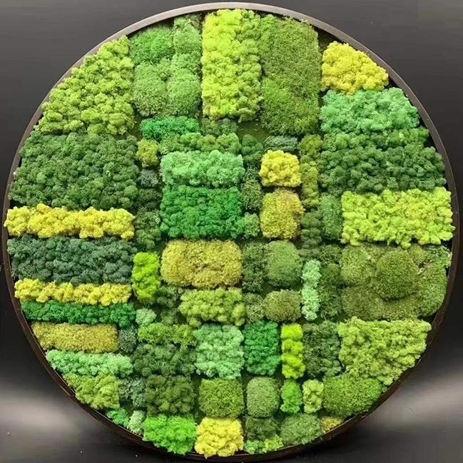 Musgo eterno musgo simulación planta pelo blanco musgo gris musgo grande interior seco paisaje piedra seco musgo verde planta