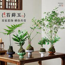 ̦�\��ˮ��ֲ������С�����k���҃���ʽ�U��[��΢���^���˺��B��