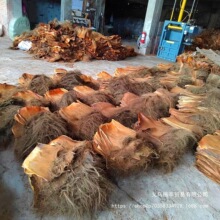 棕片棕树皮棕毛鬃蓑衣山棕榈丝茅草屋顶鲈鱼繁殖水质过滤绿萝棒柱